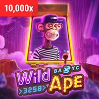 Cá cược bóng rổ We1win