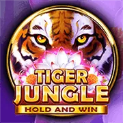 Cá cược Thể Thao we1win
